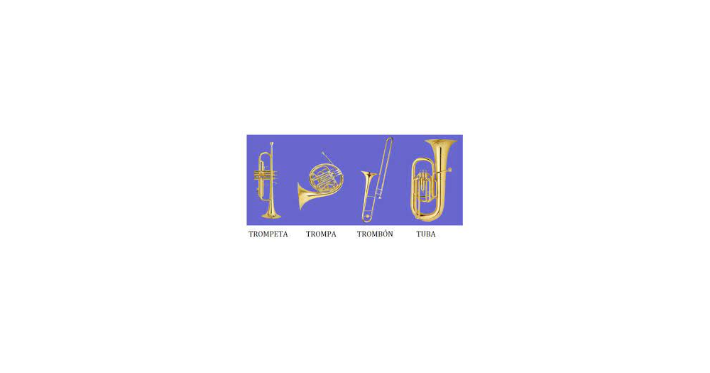 INSTRUMENTOS